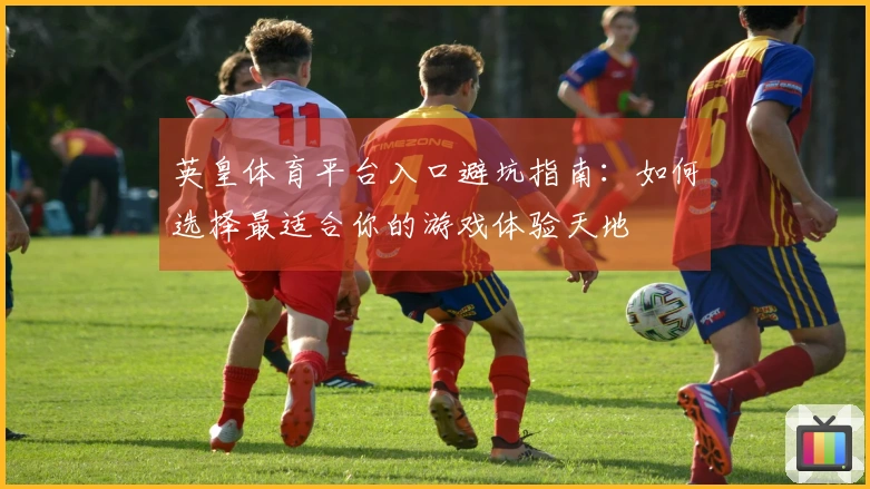 英皇体育平台入口避坑指南：如何选择最适合你的游戏体验天地
